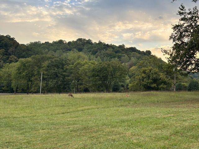 1229 Hogans Branch Rd, Hendersonville, TN 37075
