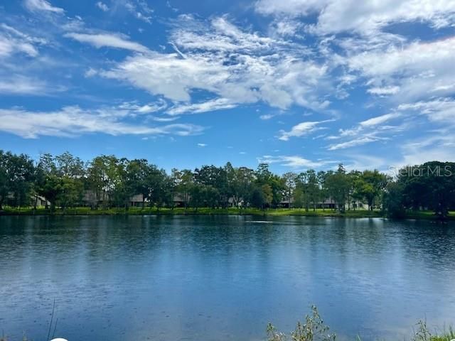 2529 OAKLEAF LANE 30C, Clearwater, FL 33763