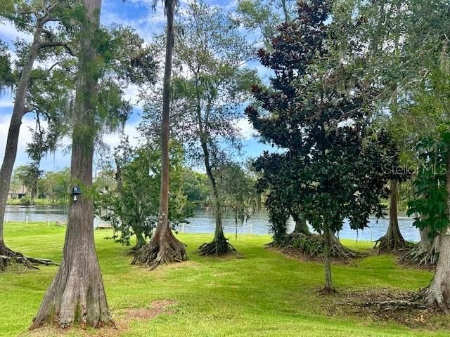 2529 OAKLEAF LANE 30C, Clearwater, FL 33763
