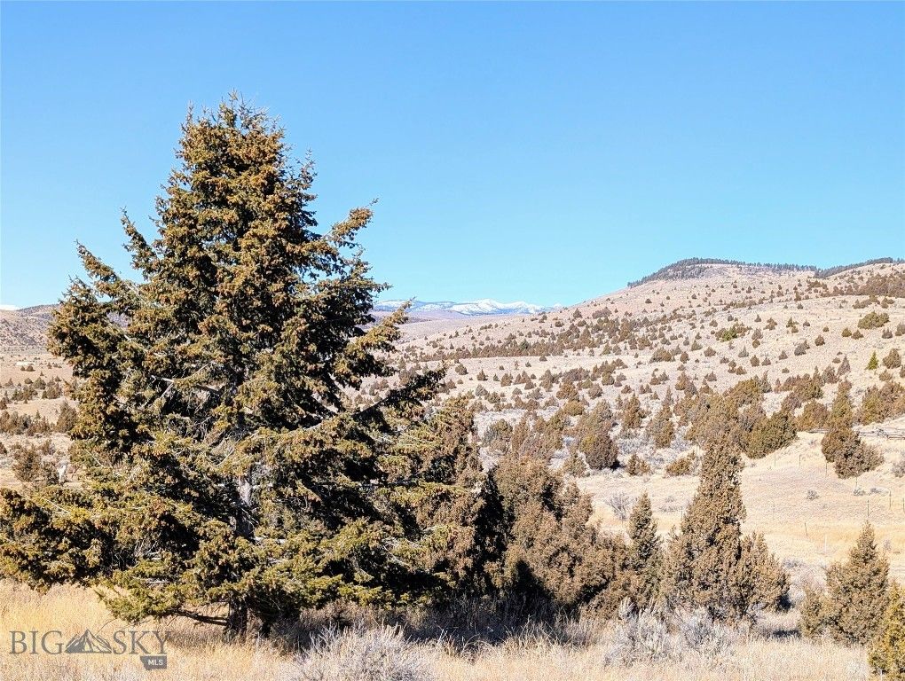 Tbd E Madison Street, Virginia City, MT 59755 photo 22