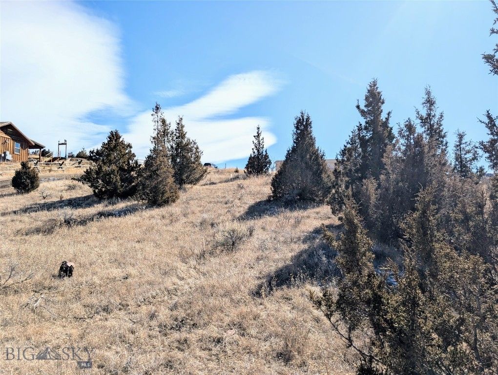 Tbd E Madison Street, Virginia City, MT 59755 photo 4