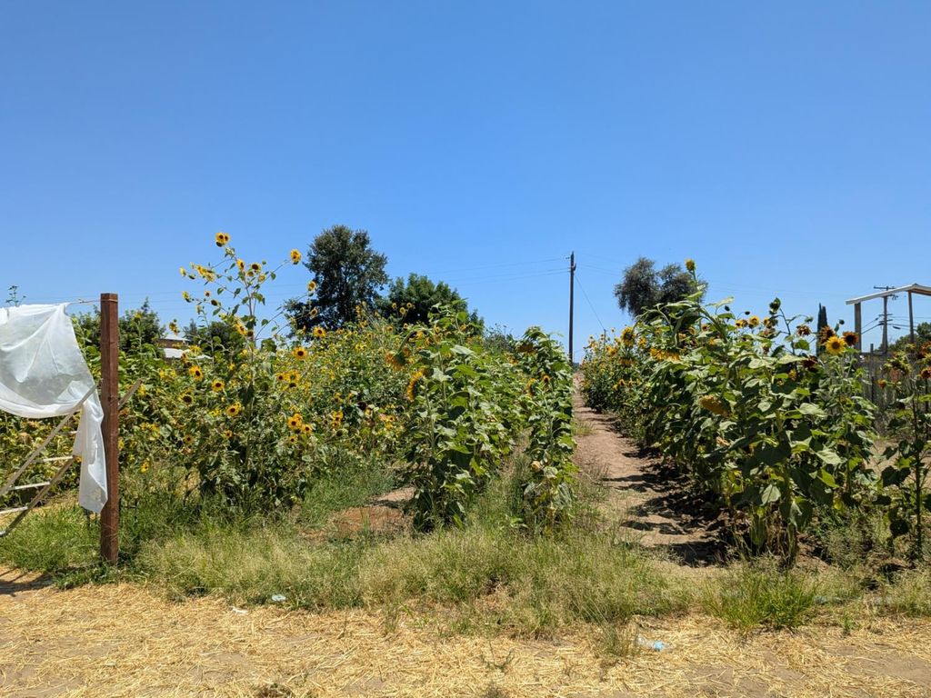 Image 30 of property listing at 284 S Temperance Avenue, Fresno, CA 93727