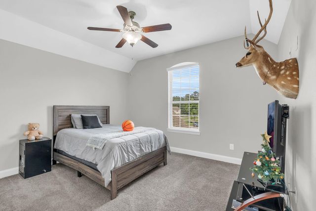 14607 Sterling Court, Willis, TX 77378