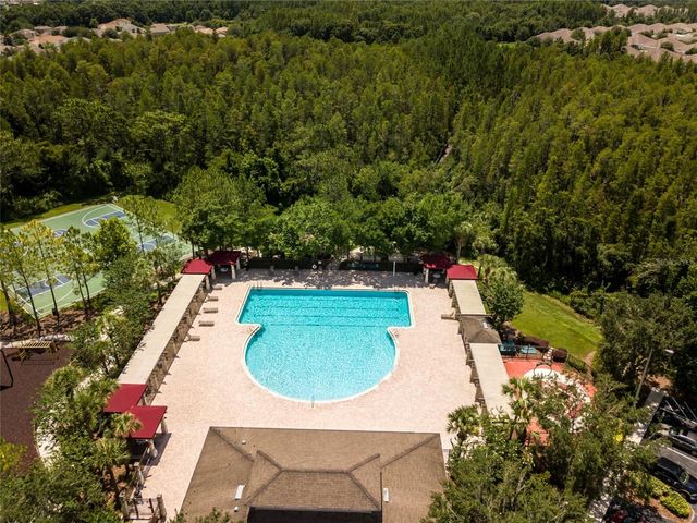 31210 GOSSAMER WAY, Wesley Chapel, FL 33543