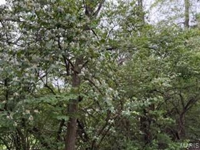 3524 Scenic Circle Drive, St Louis, MO 63129