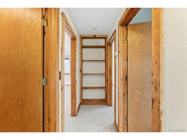 316 3rd St, Fairplay, CO 80440