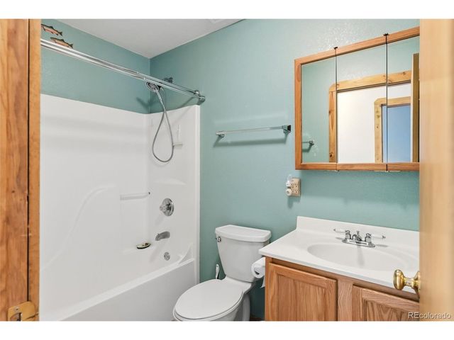 316 3rd St, Fairplay, CO 80440