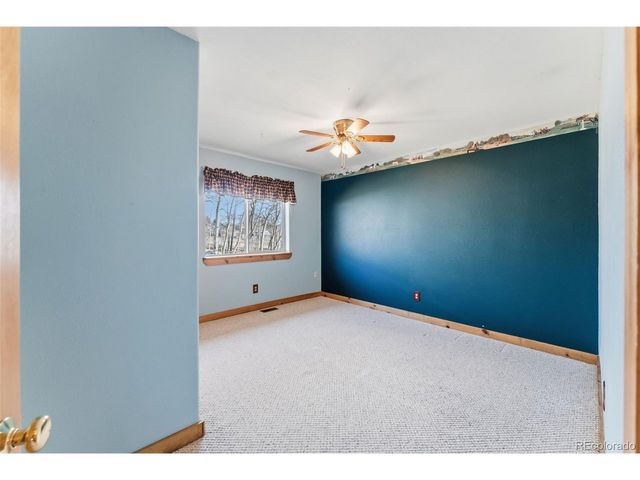 316 3rd St, Fairplay, CO 80440