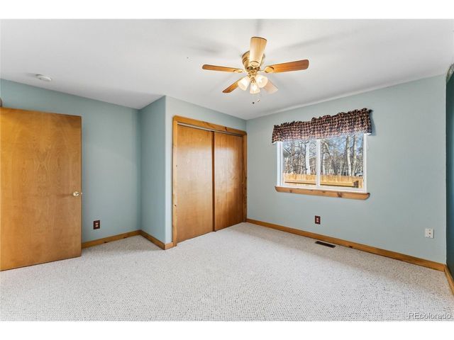 316 3rd St, Fairplay, CO 80440