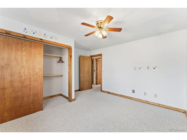 316 3rd St, Fairplay, CO 80440