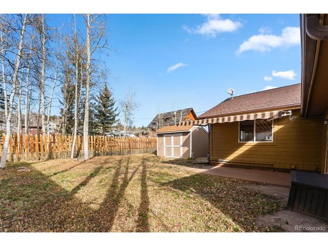 316 3rd St, Fairplay, CO 80440