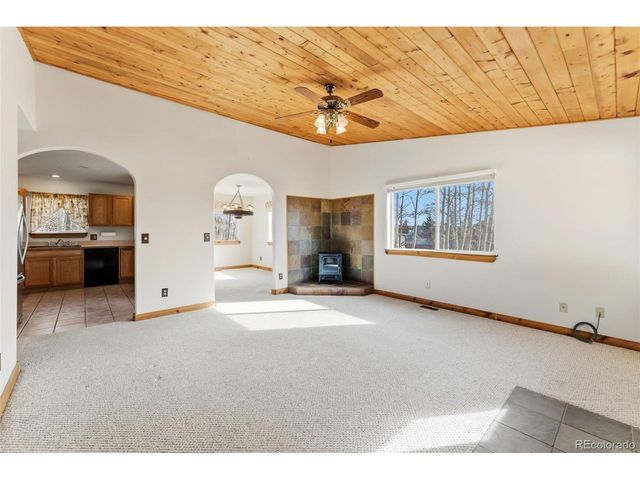 316 3rd St, Fairplay, CO 80440