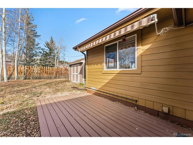 316 3rd St, Fairplay, CO 80440