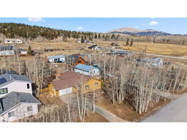316 3rd St, Fairplay, CO 80440