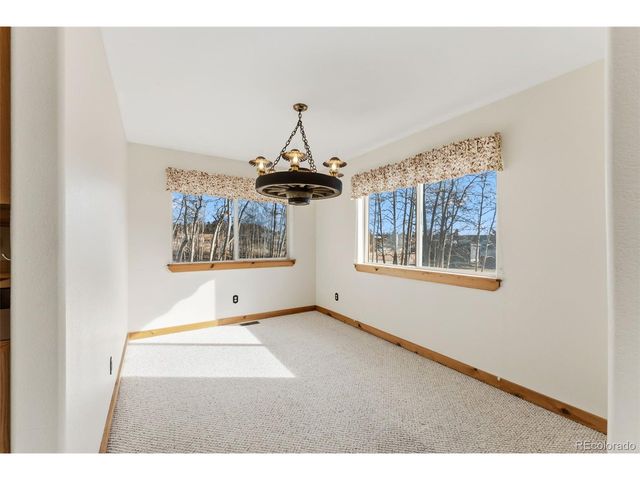 316 3rd St, Fairplay, CO 80440