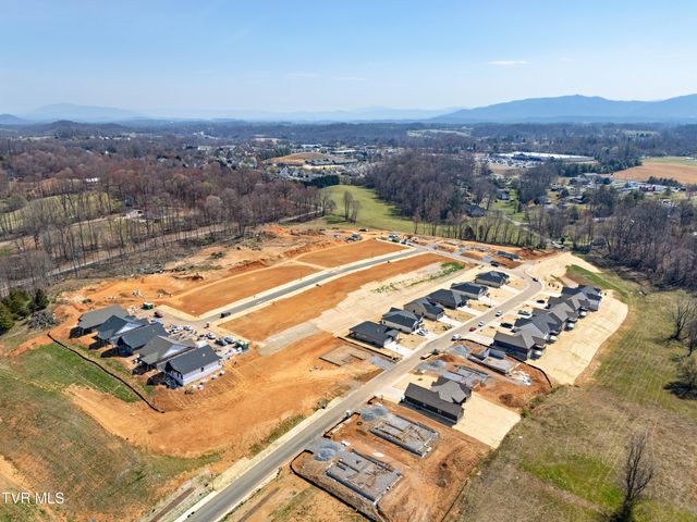 264 Ruby Rose Ridge, Jonesborough, TN 37659