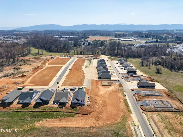 264 Ruby Rose Ridge, Jonesborough, TN 37659