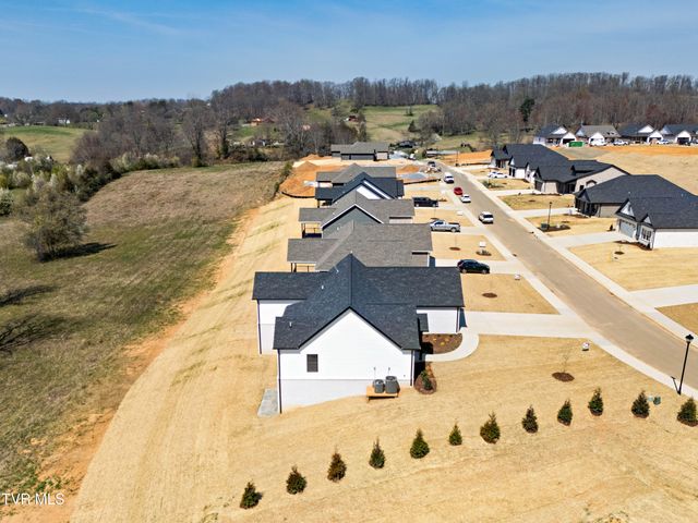 264 Ruby Rose Ridge, Jonesborough, TN 37659