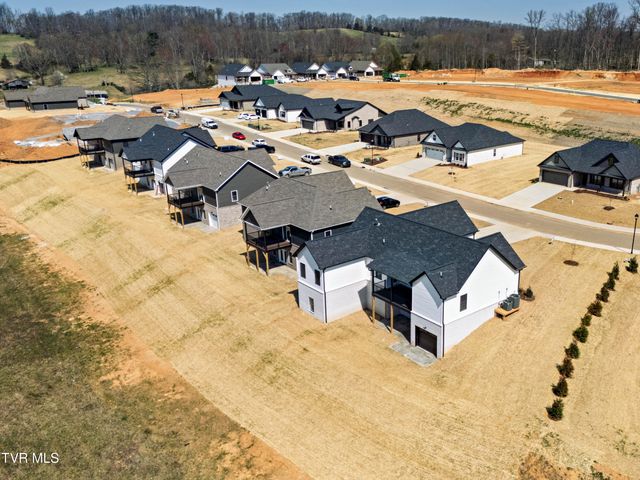 264 Ruby Rose Ridge, Jonesborough, TN 37659