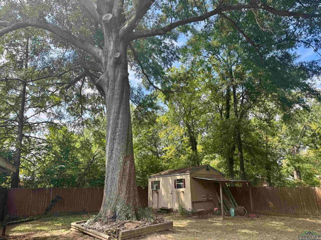 2000 Turtle Creek, Marshall, TX 75670