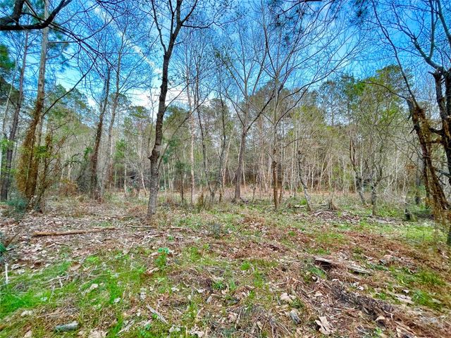 1-1-31 Texas Grand Road, Huntsville, TX 77340