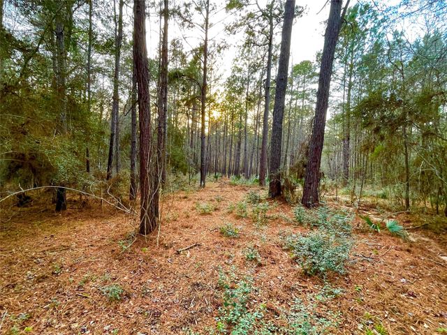 1-1-31 Texas Grand Road, Huntsville, TX 77340