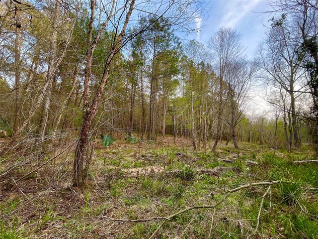 1-1-31 Texas Grand Road, Huntsville, TX 77340