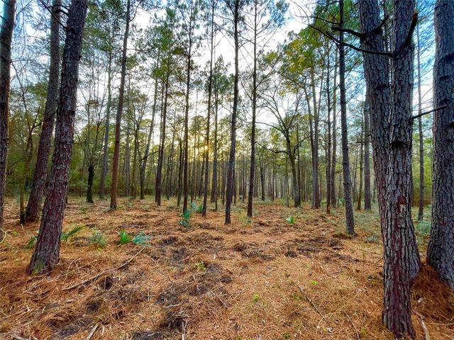 1-1-31 Texas Grand Road, Huntsville, TX 77340