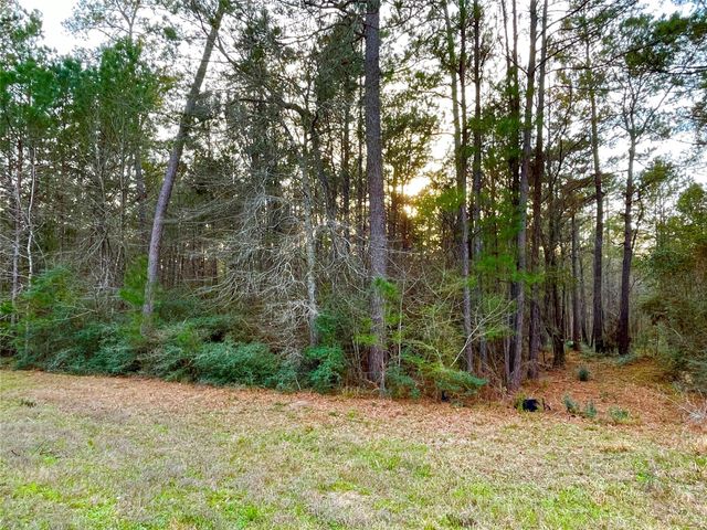 1-1-31 Texas Grand Road, Huntsville, TX 77340