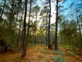 1-1-31 Texas Grand Road, Huntsville, TX 77340