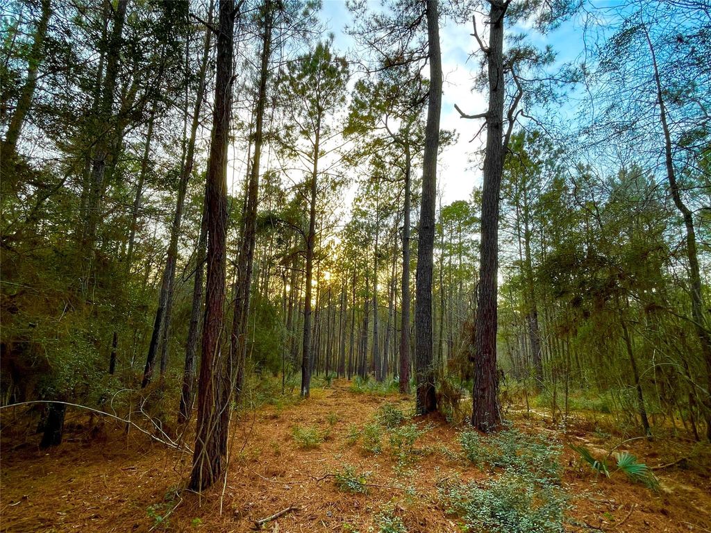 1-1-31 Texas Grand Road, Huntsville, TX 77340