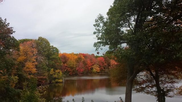 53 Farm St, Blackstone, MA 01504