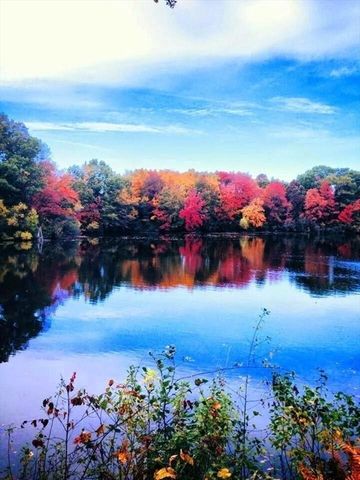 53 Farm St, Blackstone, MA 01504