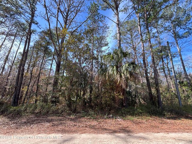 Lot 12 Carolina Dove Road, Weeki Wachee, FL 34614