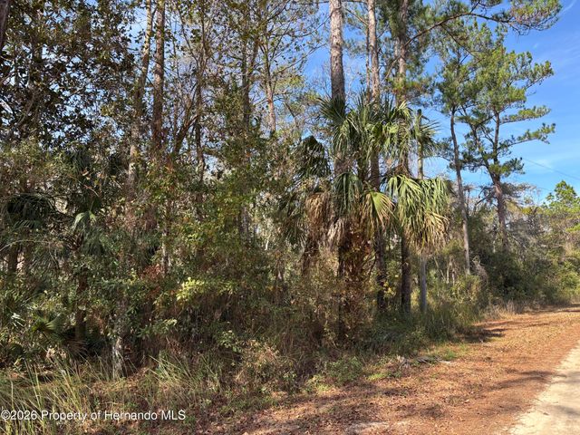 Lot 12 Carolina Dove Road, Weeki Wachee, FL 34614
