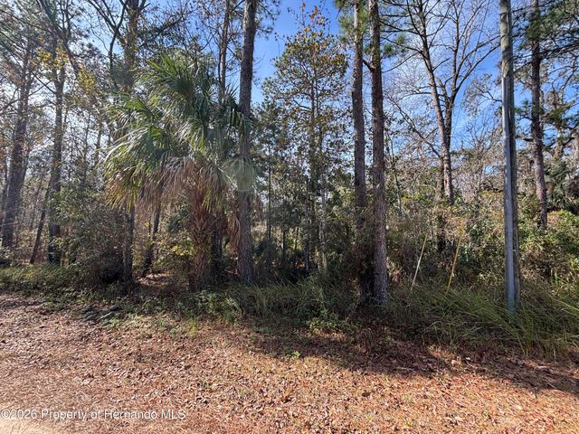 Lot 12 Carolina Dove Road, Weeki Wachee, FL 34614