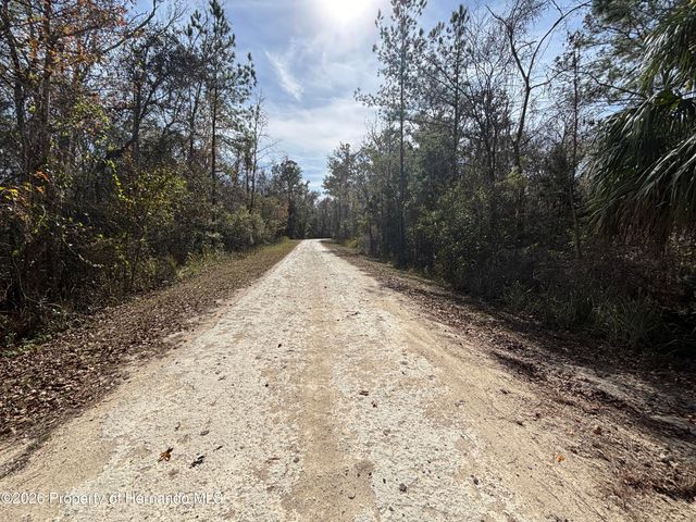 Lot 12 Carolina Dove Road, Weeki Wachee, FL 34614