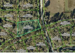 Lot 12 Carolina Dove Road, Weeki Wachee, FL 34614
