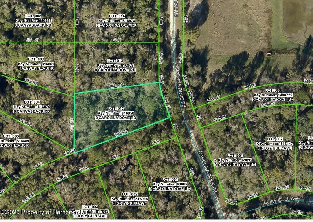 Lot 12 Carolina Dove Road, Weeki Wachee, FL 34614
