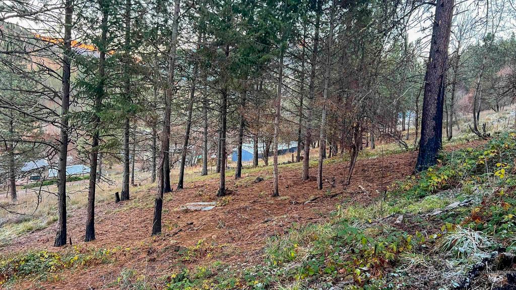 TBD Pine St Blk 43, Lot 2, Peck, ID 83545 photo 10
