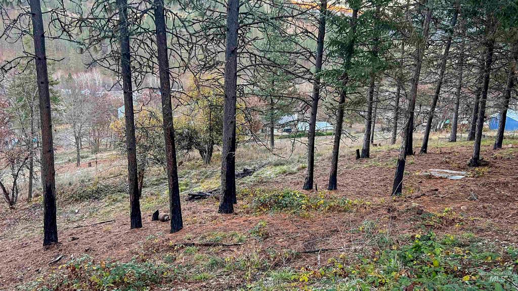 TBD Pine St Blk 43, Lot 2, Peck, ID 83545 photo 11