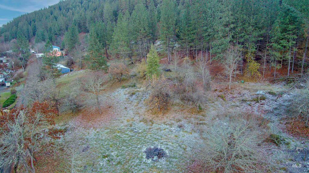 TBD Pine St Blk 43, Lot 2, Peck, ID 83545 photo 6