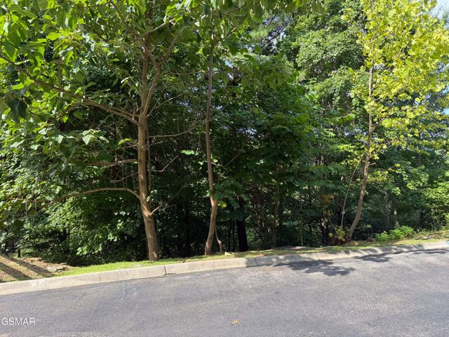 56 Smoky Ridge Way, Sevierville, TN 37862