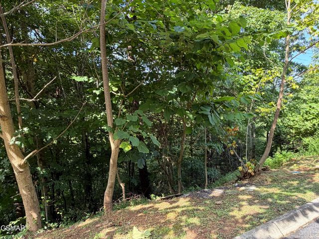 56 Smoky Ridge Way, Sevierville, TN 37862