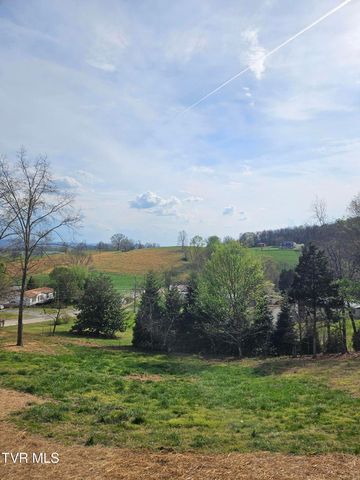 1029 Red Bud Lane, Rogersville, TN 37857