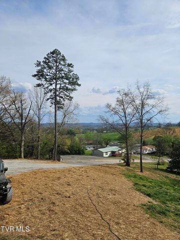 1029 Red Bud Lane, Rogersville, TN 37857