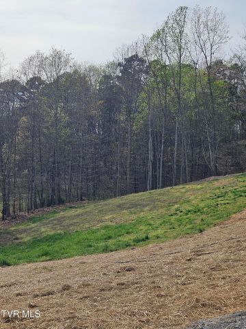 1029 Red Bud Lane, Rogersville, TN 37857