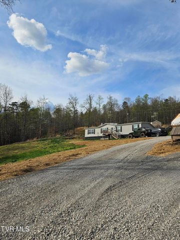 1029 Red Bud Lane, Rogersville, TN 37857