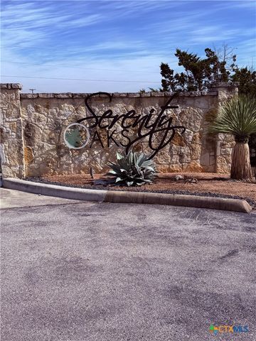 311 Serenity Pass, Spring Branch, TX 78070