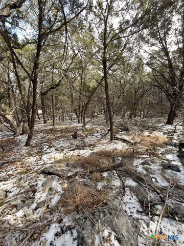 311 Serenity Pass, Spring Branch, TX 78070